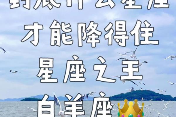 白羊男和什么星座最配 白羊座男生最佳婚配星座