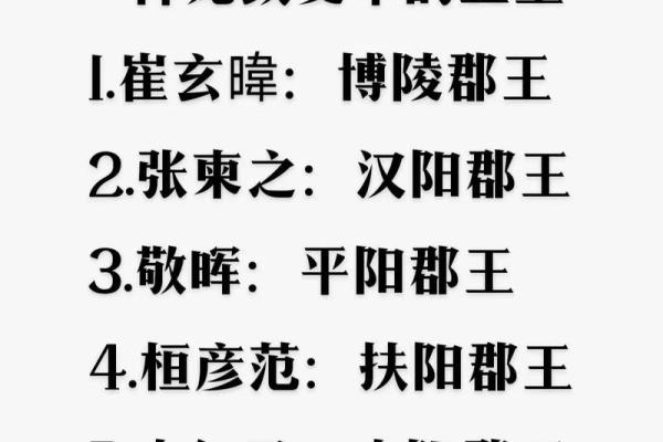 白板天子是什么意思 白板天子指哪位古代帝王