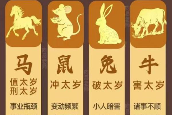 2026状元生肖运势如何？(金榜题名风水妙招)
