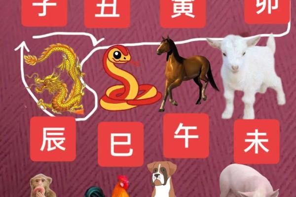 二三年属什么生肖 2023年出生生肖查询