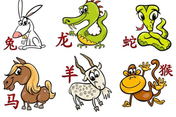 田是指什么动物的生肖 田字代表什么生肖动物