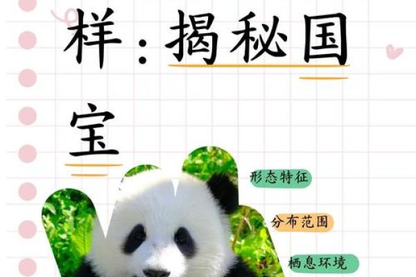 熊茂是什么动物 熊茂的动物种类介绍