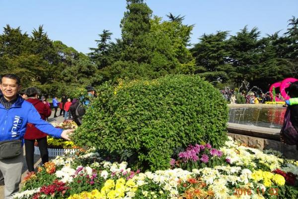 天高云淡是指什么生肖 天高云淡对应生肖查询