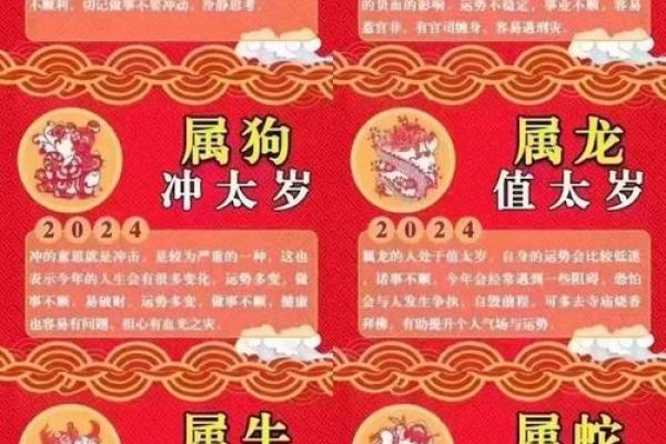今年是哪一年生肖 2024年属相查询
