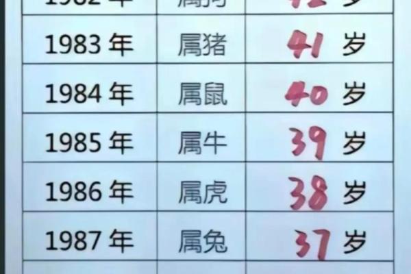 今年是哪一年生肖 2024年属相查询