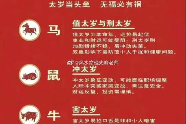 2026紫金最旺的属相是哪个？（生肖运势速查）