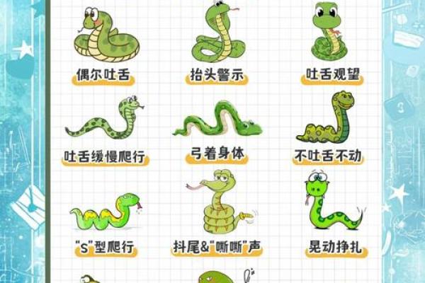 一蛇延愿十里长指什么生肖 一蛇十里长指什么生肖